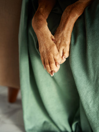 Two furry dog paws rest gently on a textured green blanket