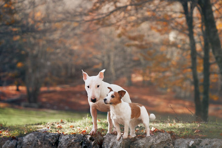 Dogs on Stone Wall