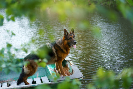 Autumn Strollの写真素材