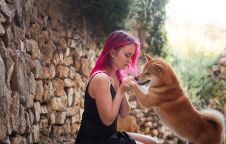 Shiba Inu and person playing in a historic courtyardの写真素材