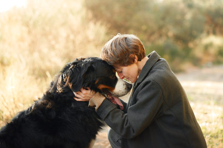 Loving interaction with Bernese Mountain Dogの写真素材