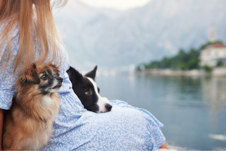 Two dogs resting beside a woman by the lake