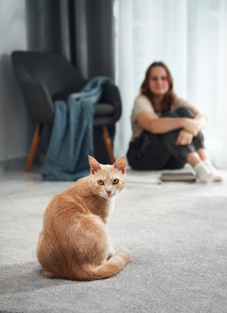 Ginger cat looking at woman seated indoorsの写真素材