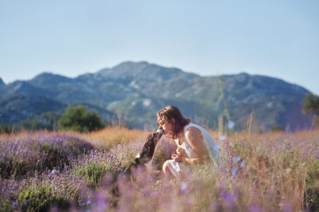Girl playing with dog in lavender fieldの写真素材