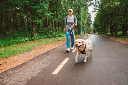 A girl with a dog runs in the Park for a walk. Sports with a Labrador in nature