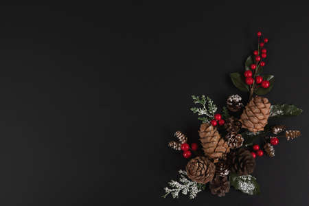 Forest pinecones, red berries and green leaves in snow on the black background.の写真素材