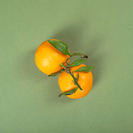 Two fresh and sweet mandarins on green background.の写真素材