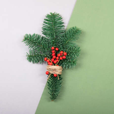 Beautiful and natural Christmas pine branch on grey and green background.の写真素材