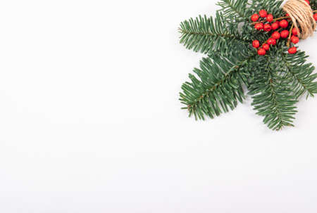 Christmas pine branch with red berries on light blue background with space for your text.の写真素材