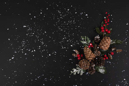 Forest pinecones, red berries and green leaves in snow on the black background.の写真素材
