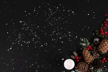 Forest pinecones, red berries and green leaves with white candle on the black background in snow.の写真素材