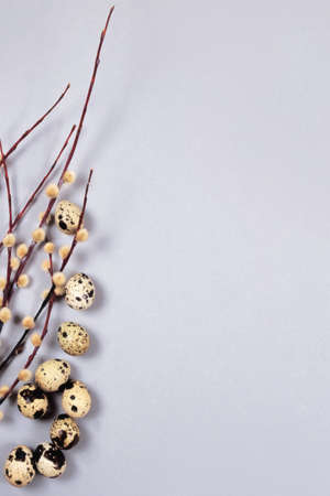 The beautiful easter composition of the willow branches and quail eggs on the gray background with the copy space for your text.の写真素材