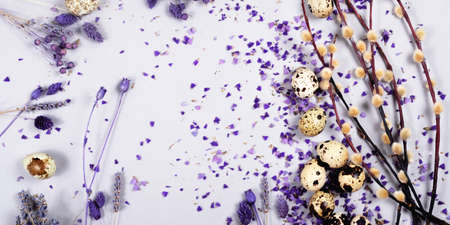 The beautiful easter composition of the willow branches and quail eggs with the purple blue dried everlasting flowers, petals and lavender on the gray background with the copy space for your text.の写真素材