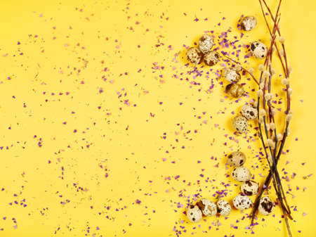 The beautiful easter composition of the willow branches and quail eggs on the yellow background with the purple blue dried petals of the everlasting flower and the copy space for your text, banner.の写真素材