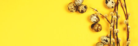 The easter background with the willow branches and quail eggs on the trendy yellow background with...
