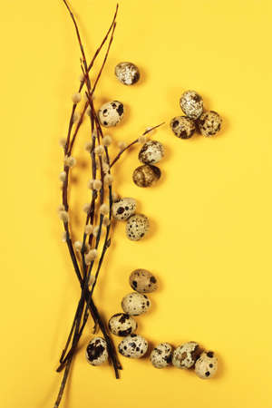 The easter background with the willow branches and quail eggs on the trendy yellow background with the copy space for your text.の写真素材