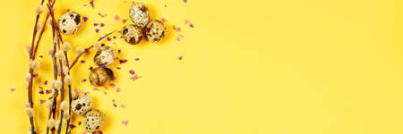 The beautiful easter composition of the willow branches and quail eggs on the yellow background with the purple blue dried petals of the everlasting flower and the copy space for your text, banner.の写真素材