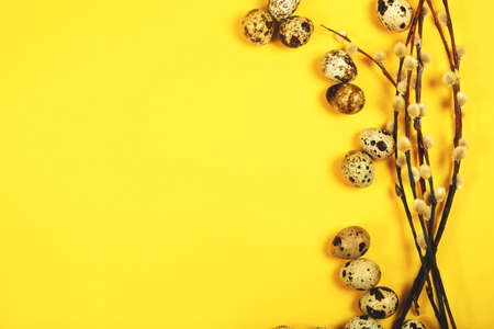 The easter background with the willow branches and quail eggs on the trendy yellow background with the copy space for your text, banner.の写真素材