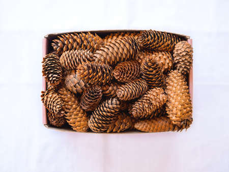 Beautiful New Year or Christmas background of the ideal pinecones in the box on the white. The...