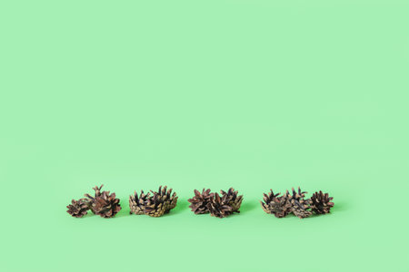 Natural brown pinecones in the line on the green background with the space for your design.Christmas or New Year decoration banner.の写真素材