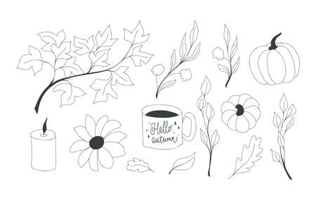 Vector autumn set with doodle elements of branches with leaves, flowers, berries, foliage, pumpkins, candle, a cup of tea. Hello, autumn. Collections of elements for decoration, design, greeting cards, invitations. Vector illustration.のイラスト素材