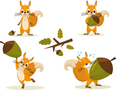 Cute squirrel set holding acorn. Funny little brown squirrel collection. Emotion little animal. Cartoon animal character design. Vector illustration isolated on white background.のイラスト素材