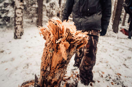 Man with a beard tourist in a winter forest. Stump in the woodsの写真素材