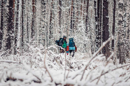 Portrait of smiling bearded man hiker, who relaxing in the winter forest. Toned image. Man with a beard tourist in a winter forest. Walks through the forest. with his travel groupの写真素材