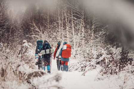 A small group of tourists traveling through the snowy woods in winter cloudy day. Tourists walking through the winter forest. Go through the treesの写真素材