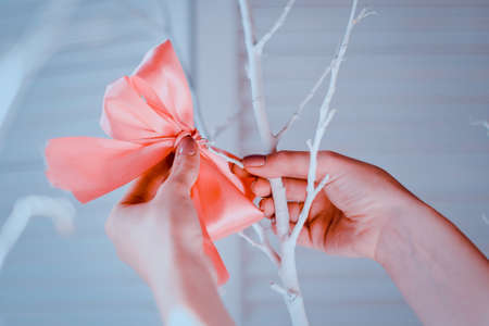 Female hand tied bow on on a branch close up view. Toned image.の写真素材