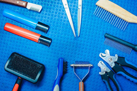 Acessories for the grooming and nail clipper for cats and dogs. The concept of advertising grooming and caring for dogs. Many tools for trimmingの写真素材