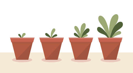 The growth of the plants.Stages of growth and development.Care, watering, fertilizer, tree, flower.Flat vector stock illustrationのイラスト素材