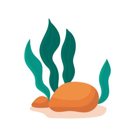 Algae, underwater plants. Marine life, seabed ecosystem. Cartoon vector isolated illustration on a white background.のイラスト素材