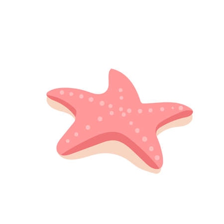 Underwater plants, algae, corals, starfish. Marine life, seabed ecosystem. Cartoon vector isolated illustration on a white background.のイラスト素材