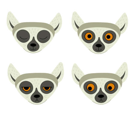 Exotic cute lemur. Animals of Madagascar and Africa. Vector childrens illustration in flat styleのイラスト素材