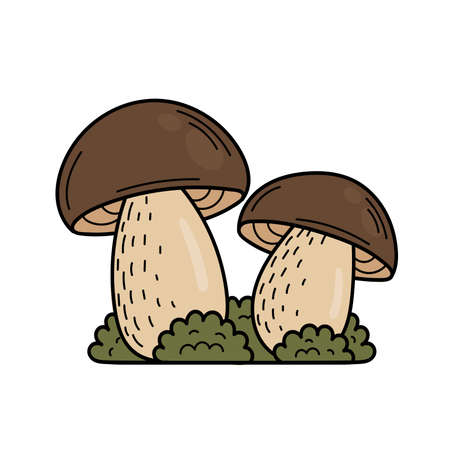 Cute edible mushroom in doodle style. Ingredients for cooking, salads. Autumn plant harvesting. Vector isolated hand drawn illustration for coloring pages, sketch, outlineのイラスト素材