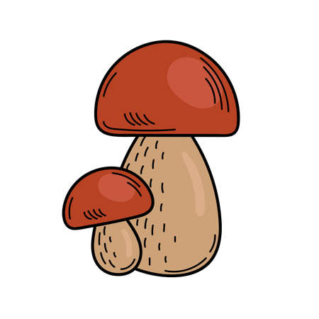Cute edible mushroom in doodle style. Ingredients for cooking, salads. Autumn plant harvesting. Vector isolated hand drawn illustration for coloring pages, sketch, outlineのイラスト素材