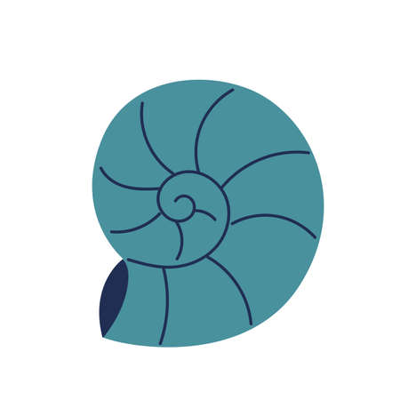 Cute underwater shell, marine animals, shellfish. Flat vector illustration in cartoon style isolated...