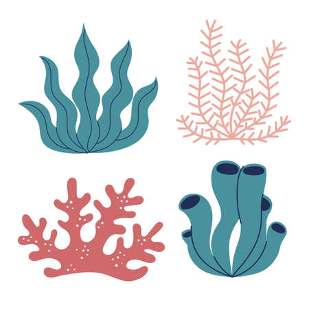 Set of underwater plants, algae. corals. Flat vector illustration in cartoon style isolated on white background.のイラスト素材