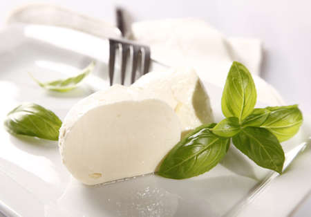 Mozzarella cheeseの写真素材