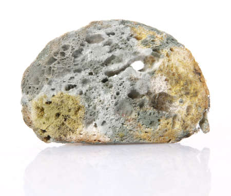 Moldy breadの写真素材