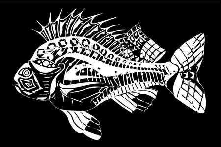 Carp white on a black backgroundのイラスト素材