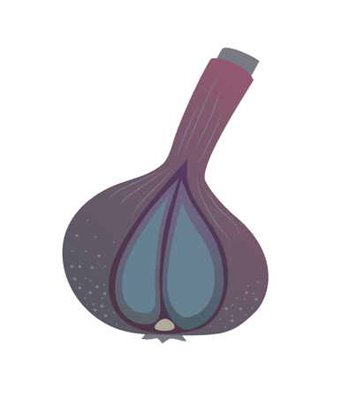 Gradient garlic illustration.  Isolated object. Cooking ingredient.のイラスト素材