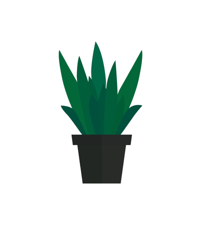 Flat flower illustration. Houseplant icon. Simple style.のイラスト素材
