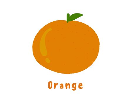 Orange Fruit iconのイラスト素材