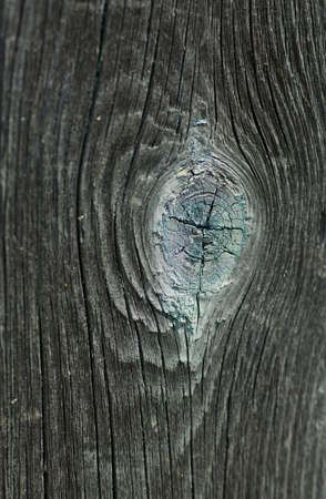 Background picture made of old wood boards, grayの写真素材