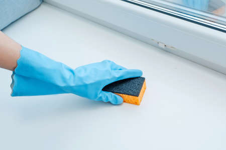 gloved hand holds a yellow sponge, cleaning, window sill washingの写真素材