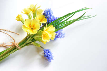 Primrose and mouse hyacinth flowers on a white background. Beautiful miniature bouquet.の写真素材