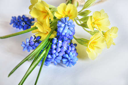 Primrose and mouse hyacinth flowers on a white background. Beautiful miniature bouquet.の写真素材