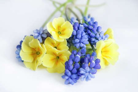 Primrose and mouse hyacinth flowers on a white background. Beautiful miniature bouquet.